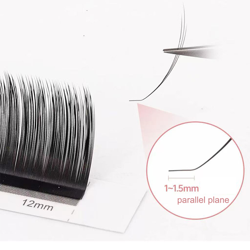 dream ballet Camellia Lashes w - огляд і ціна Eyelash Extension Russian Volume