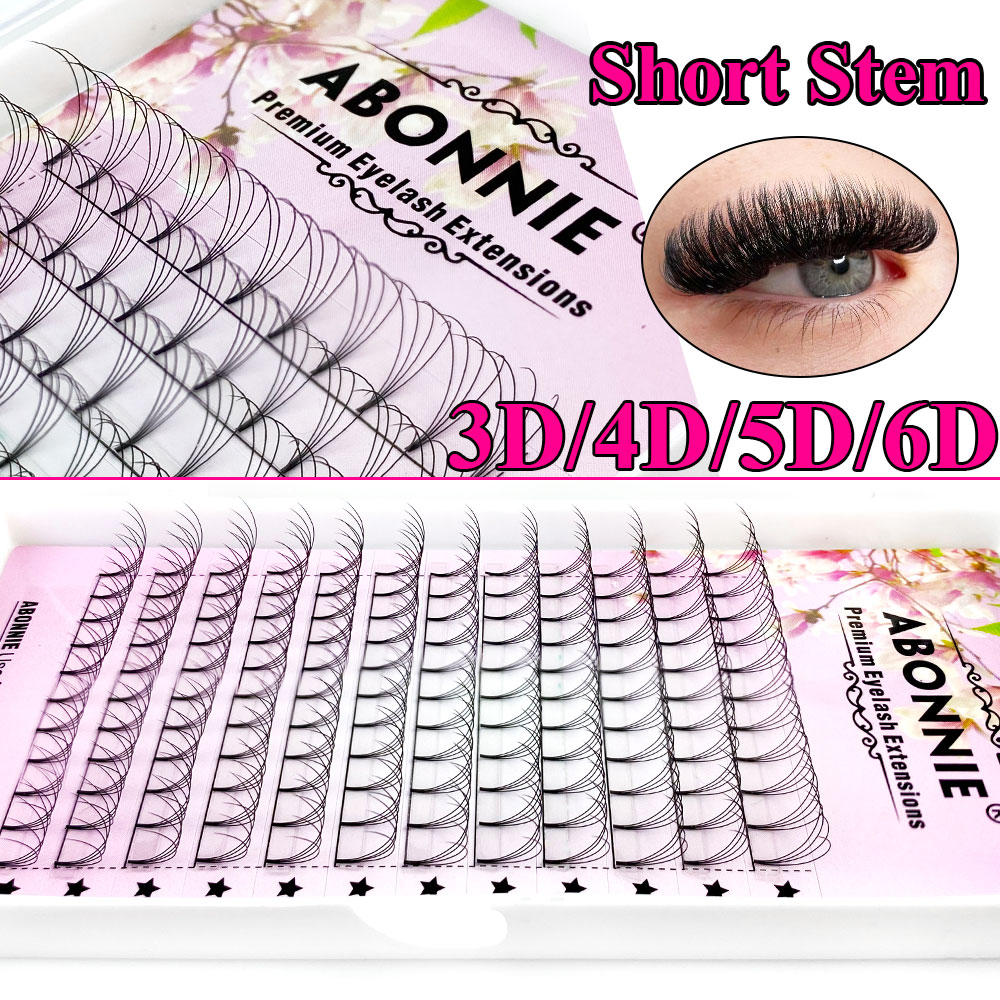 Abonnie 6D Narrow Fan Premade  - огляд і ціна Eyelash Extension Russian Volume